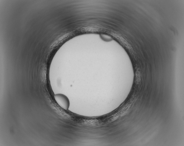 X0000111780446200908201113