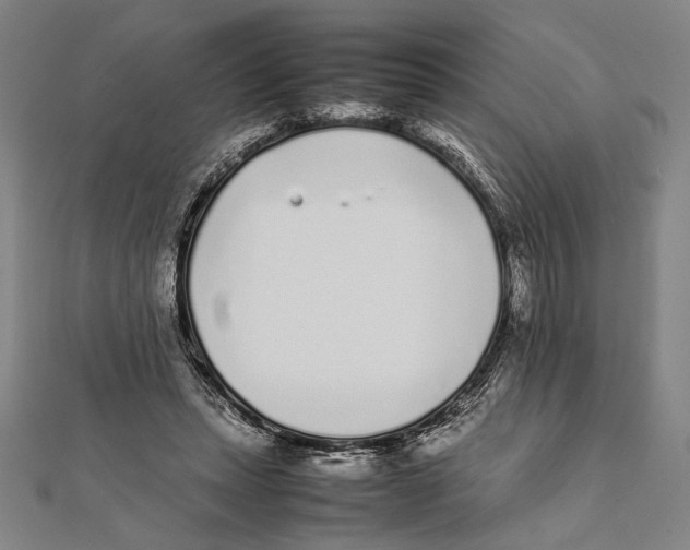 X0000111780447200908201113
