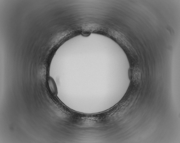 X0000111780448200908201113