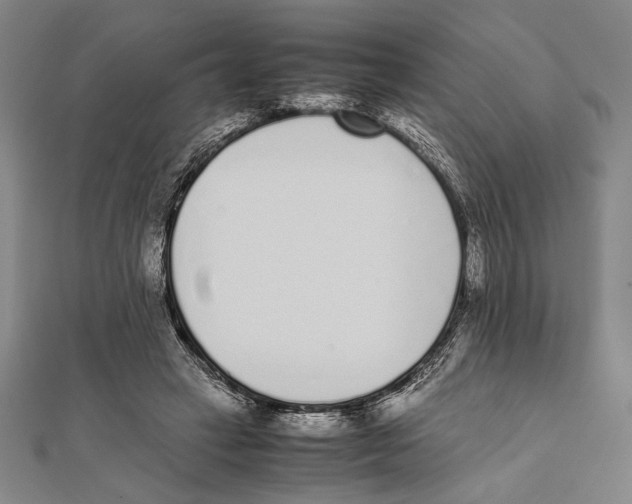 X0000111780449200908201113