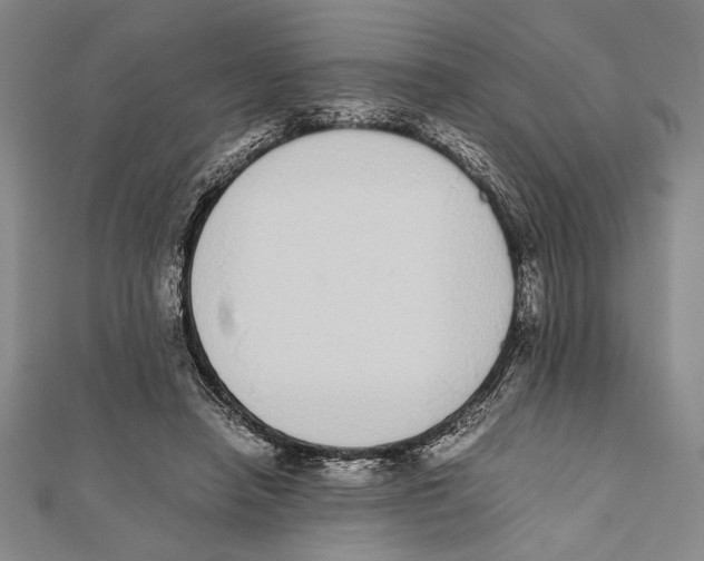 X0000111780450200908201113