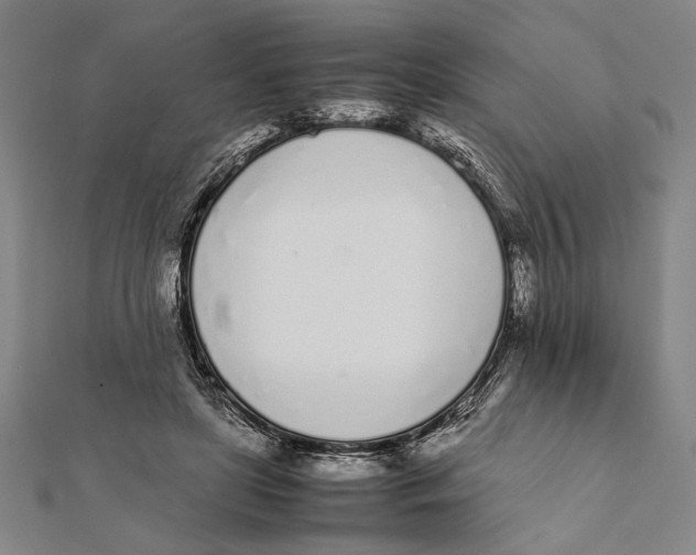 X0000111780451200908201113