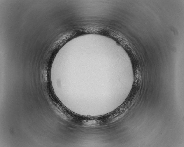 X0000111780452200908201113