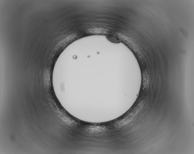 X0000111780453200908201113