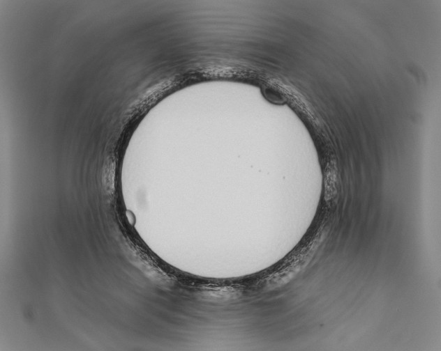 X0000111780454200908201113