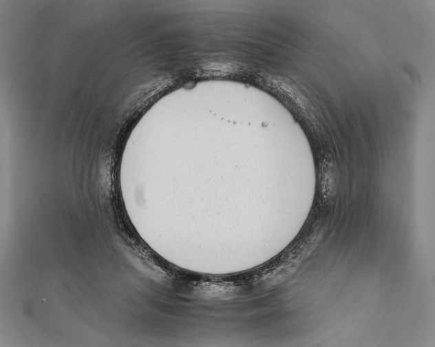 X0000111780455200908201113