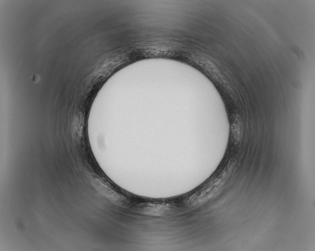 X0000111780458200908201113