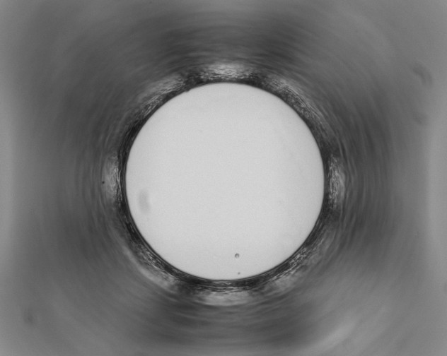 X0000111780459200908201113