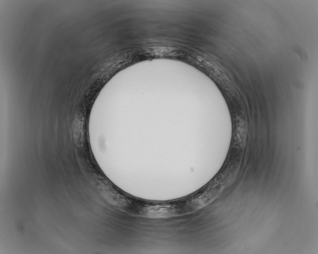 X0000111780461200908201113