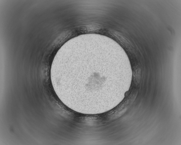 X0000111780462200908201113