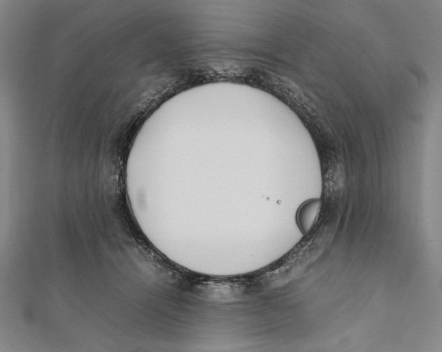 X0000111780464200908201113