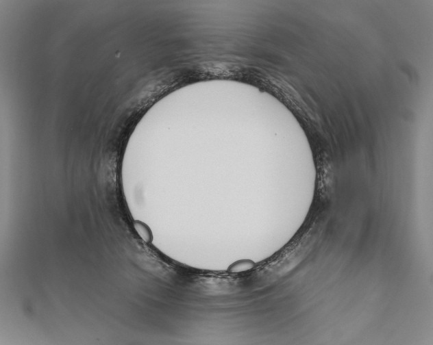 X0000111780466200908201113