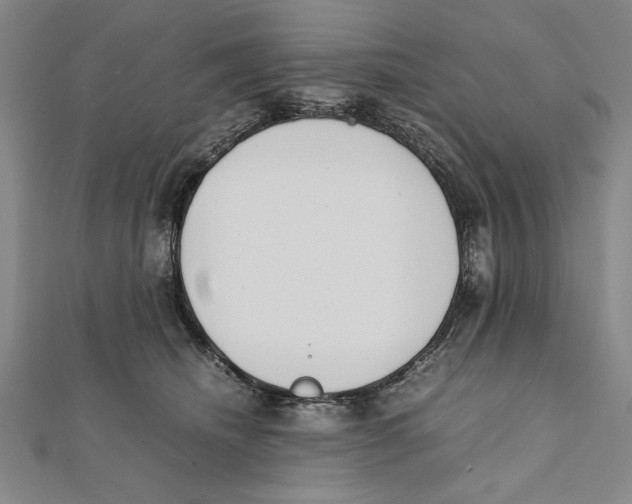 X0000111780468200908201113