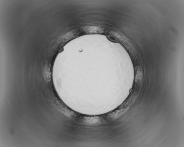 X0000111780469200908201113