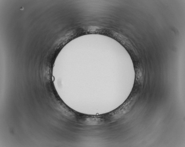 X0000111780470200908201113
