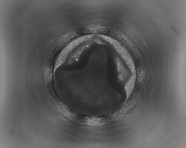 X0000111780471200908201113