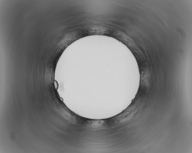 X0000111780474200908201113
