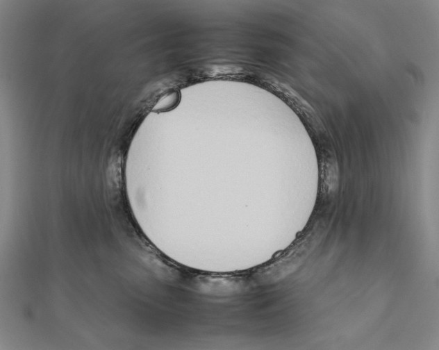 X0000111780475200908201114