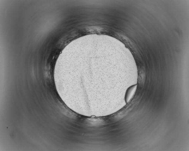 X0000111780477200908201114