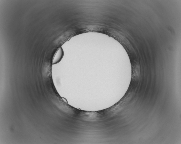 X0000111780478200908201114