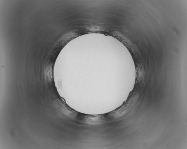 X0000111780479200908201114