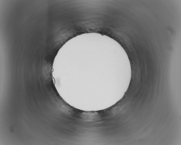 X0000111780480200908201114