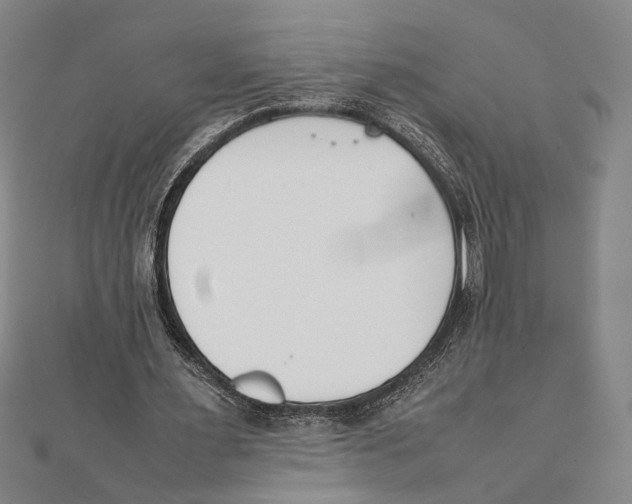 X0000111780483200908201113