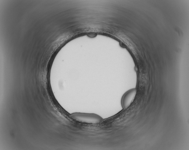 X0000111780485200908201113