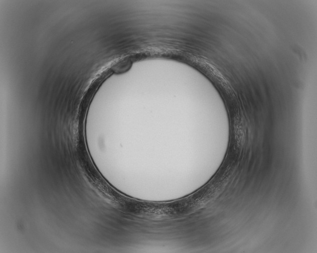 X0000111780488200908201113