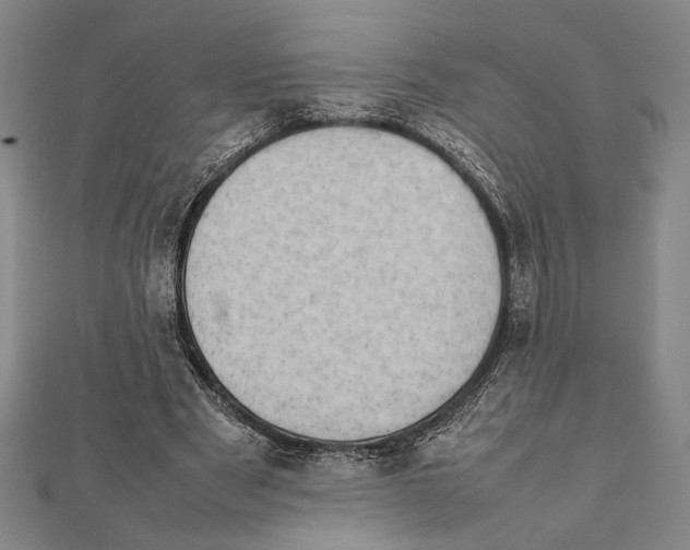 X0000111780489200908201113