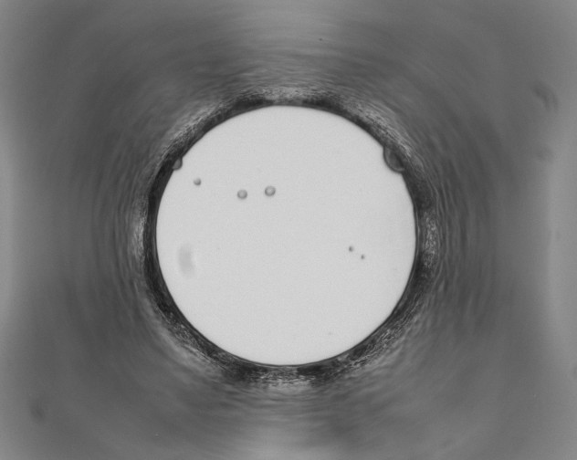X0000111780491200908201113