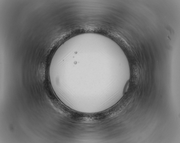 X0000111780496200908201113