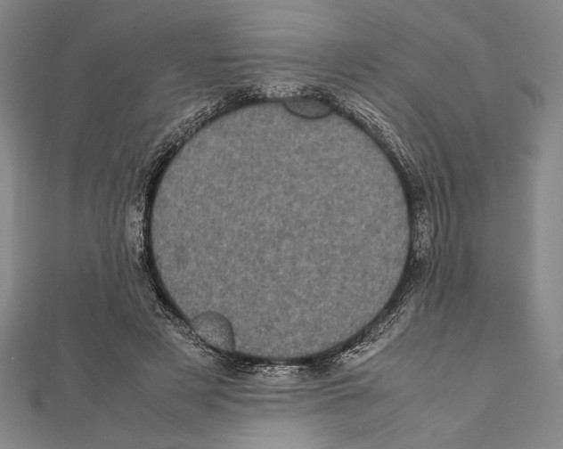 X0000111780497200908201113