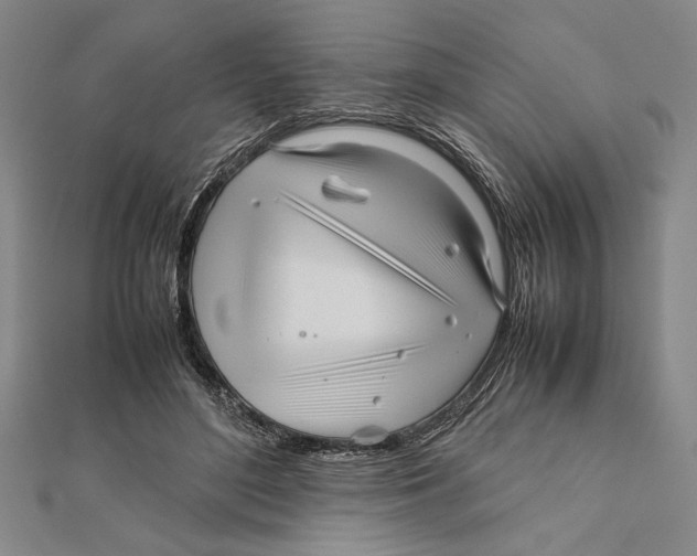 X0000111780500200908201113