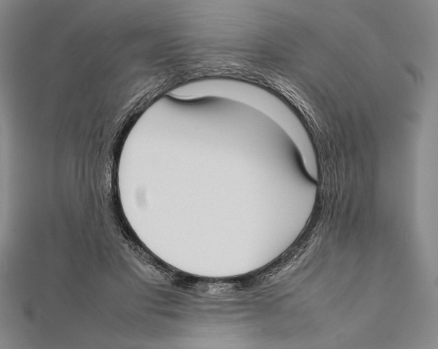 X0000111780501200908201113