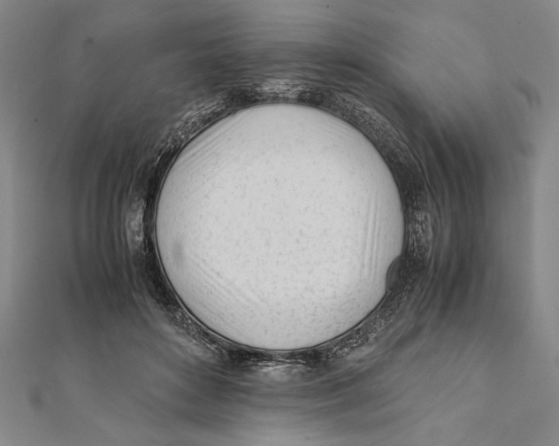 X0000111780504200908201113