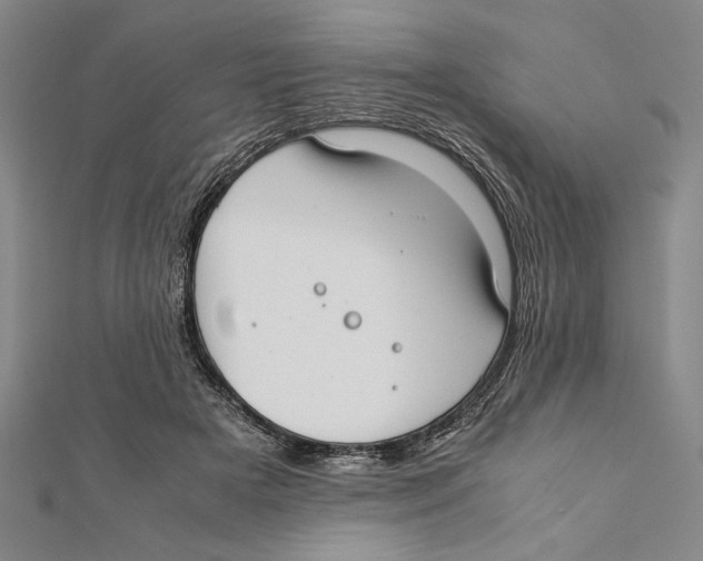 X0000111780505200908201113