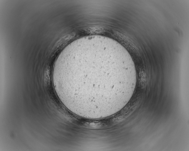 X0000111780506200908201113