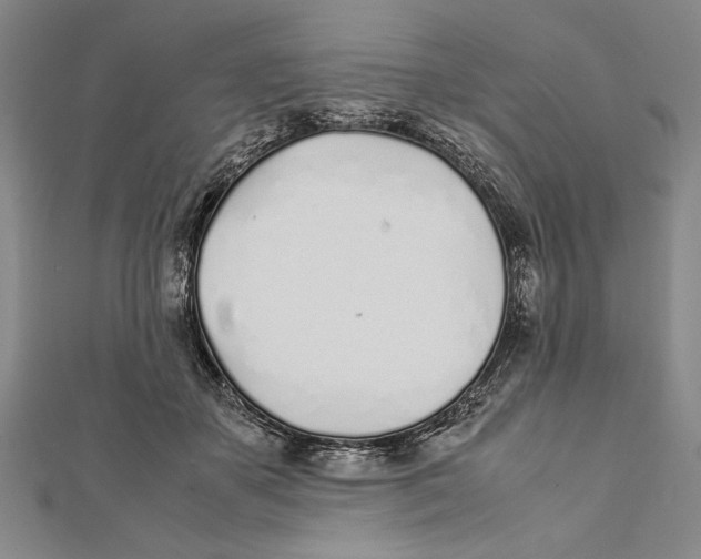 X0000111780507200908201113