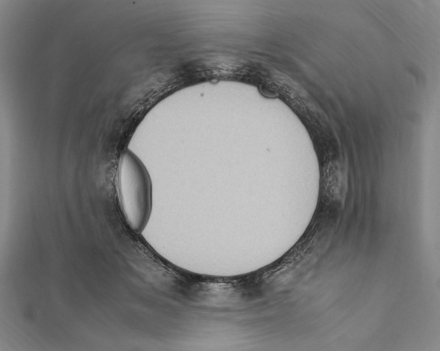 X0000111780509200908201113