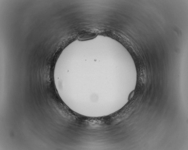 X0000111780512200908201113