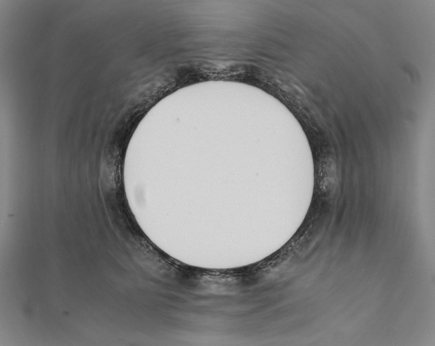 X0000111780515200908201113