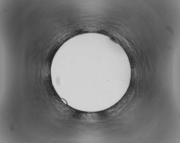 X0000111780517200908201112