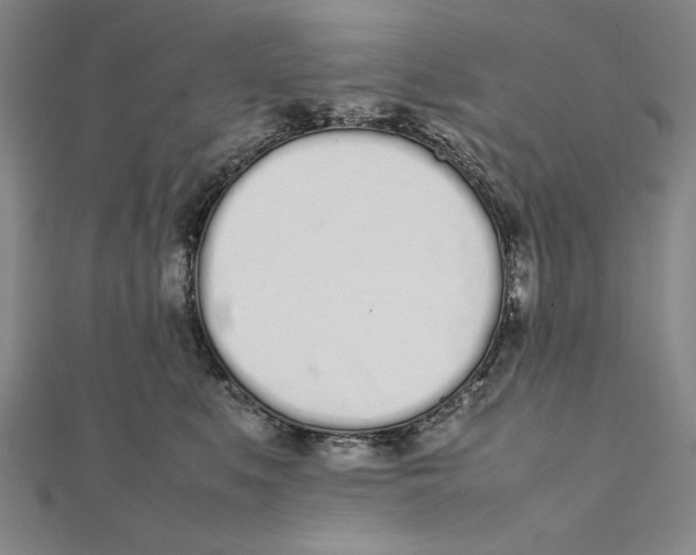 X0000111780519200908201112
