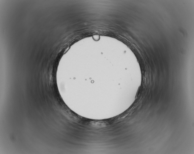X0000111780520200908201112