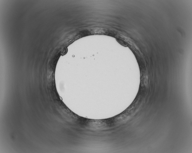 X0000111780521200908201112