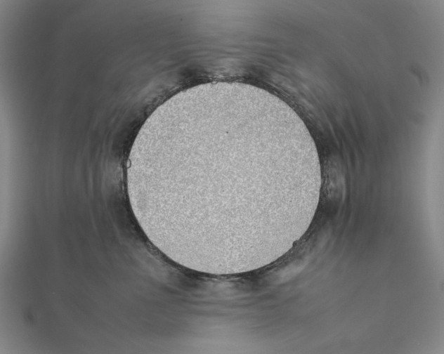X0000111780523200908201112