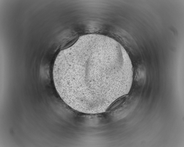 X0000111780524200908201112