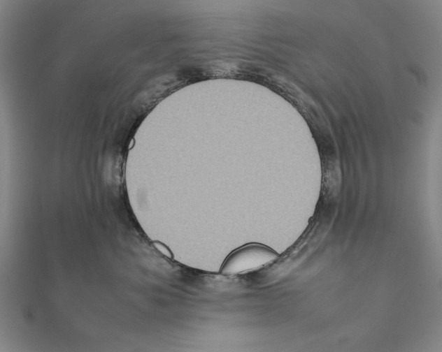 X0000111780525200908201112