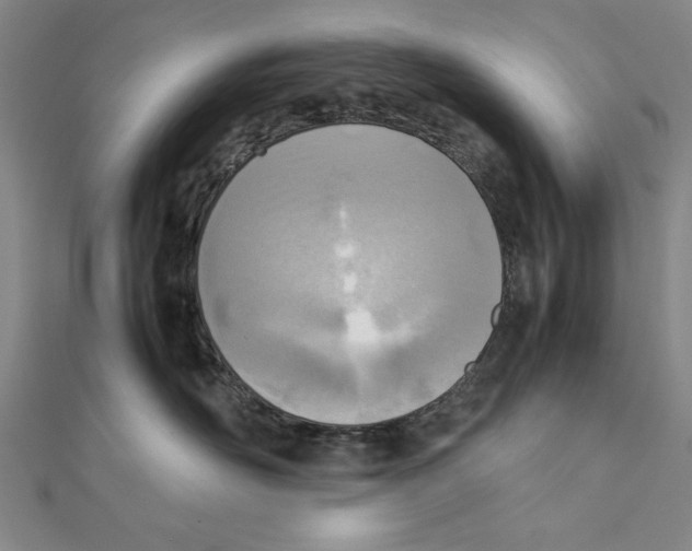 X0000111780526200908201112